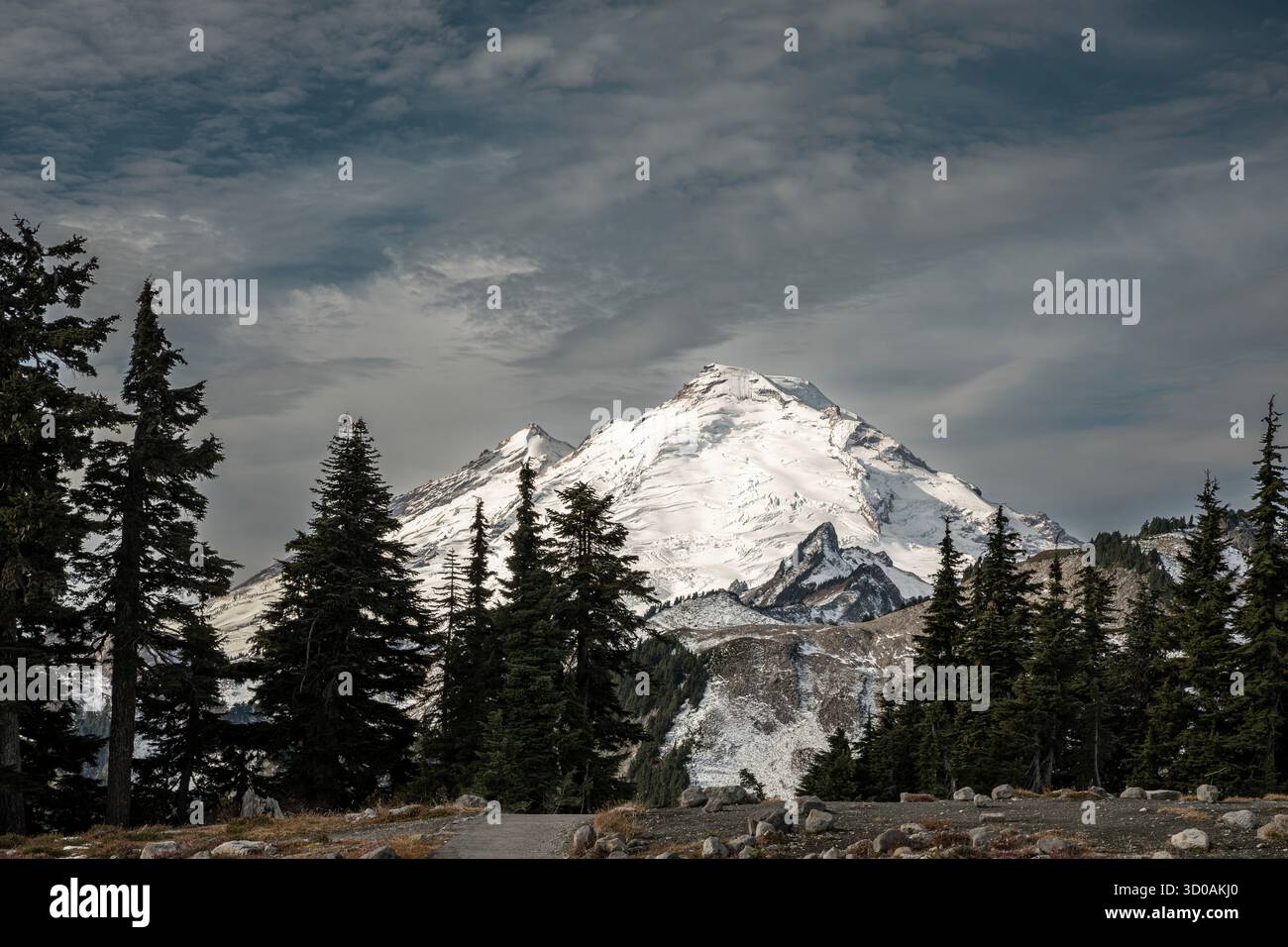 WA28638-00...WASHINGTON - Monte Baker visto da Kulshan Ridge, Mt. Baker Snowqualmie National Forest. Foto Stock