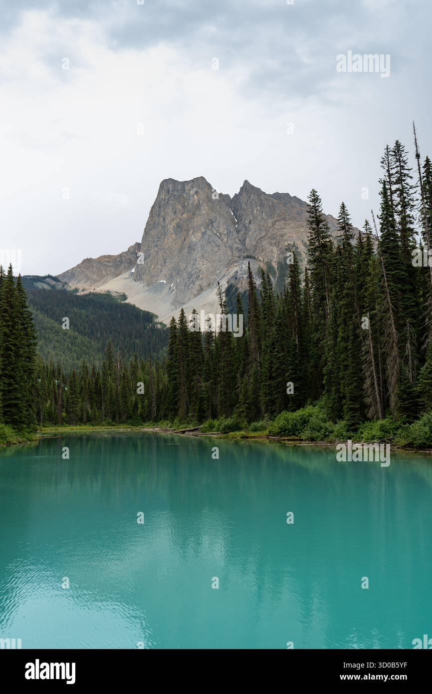 Un tranquillo lago turchese riflette la torreggiante montagna e la lussureggiante foresta. Emerald Lake, British Columbia Foto Stock