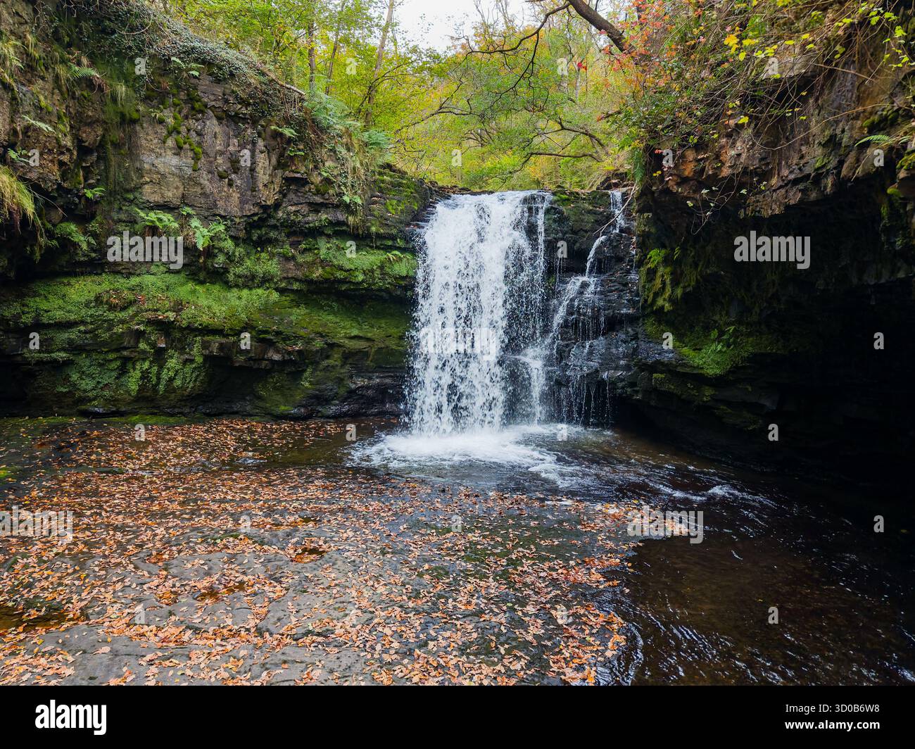 Tranquillo scenario boschivo con una cascata gallese durante la bella stagione autunnale Foto Stock
