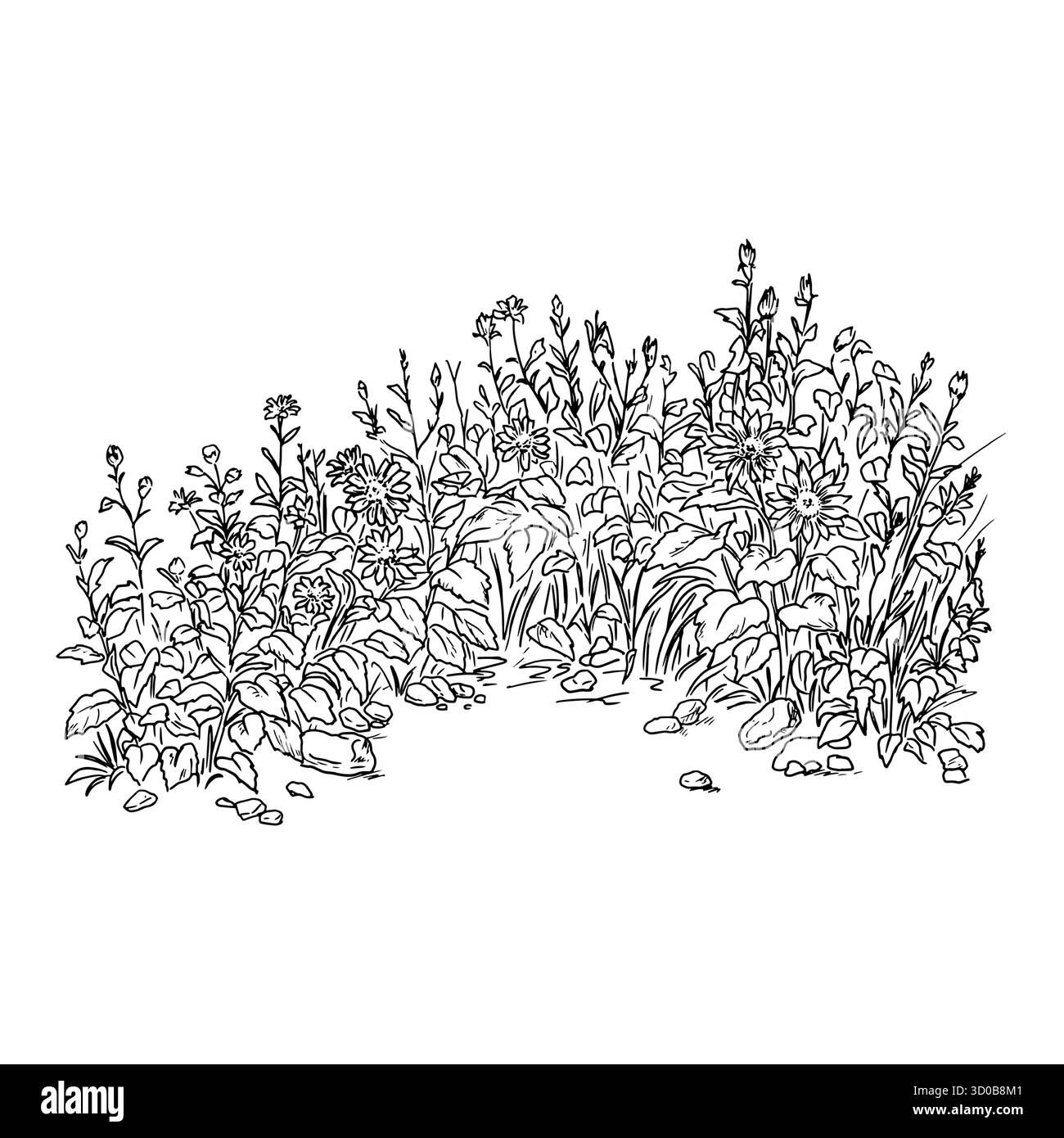 Boschetti di erba e siepi di rami, foglie e fiori, schizzo. Illustrazione vettoriale. Lussureggianti cespugli da giardino, isolati su sfondo bianco. Per postca Illustrazione Vettoriale