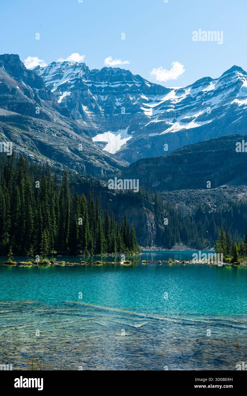 Paesaggio di montagna panoramico con lago turchese e lussureggiante foresta. Lago Ohara, British Columbia Foto Stock