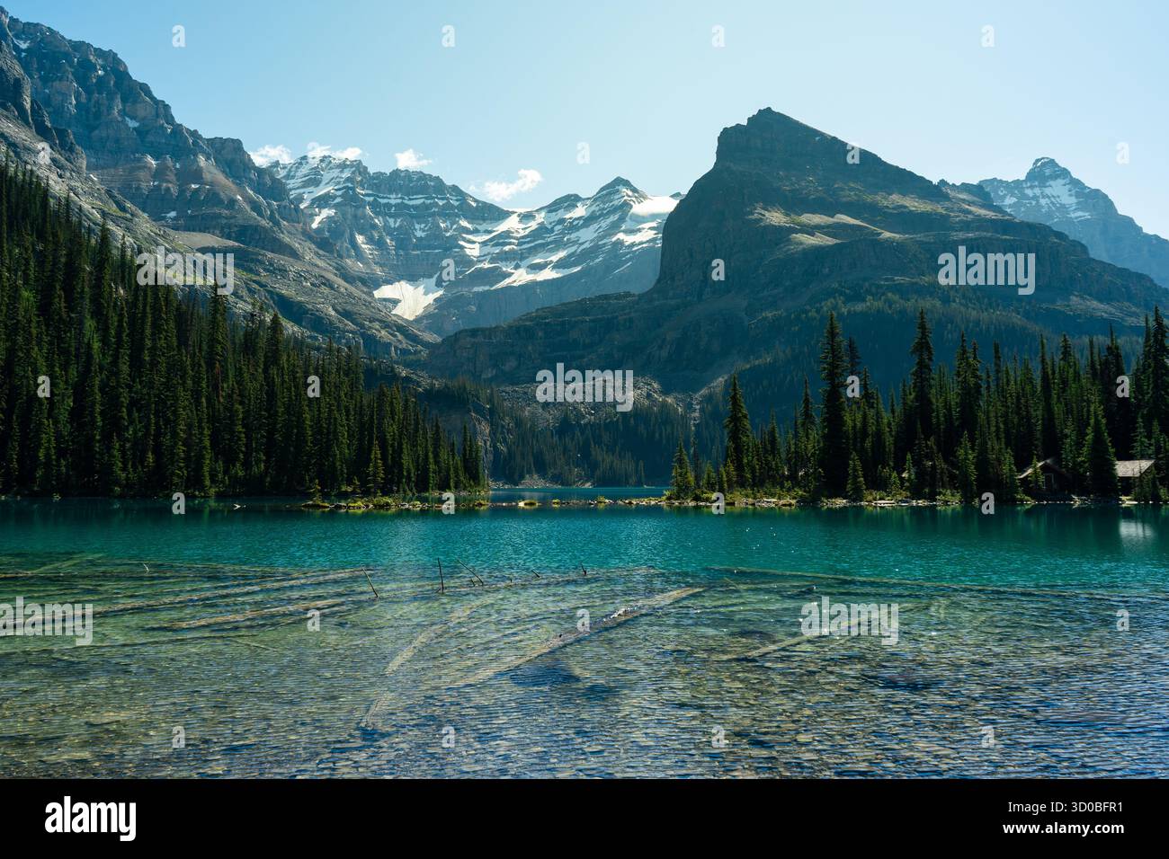 Un tranquillo lago alpino riflette montagne innevate e torreggianti pini. Lago Ohara, British Columbia Foto Stock