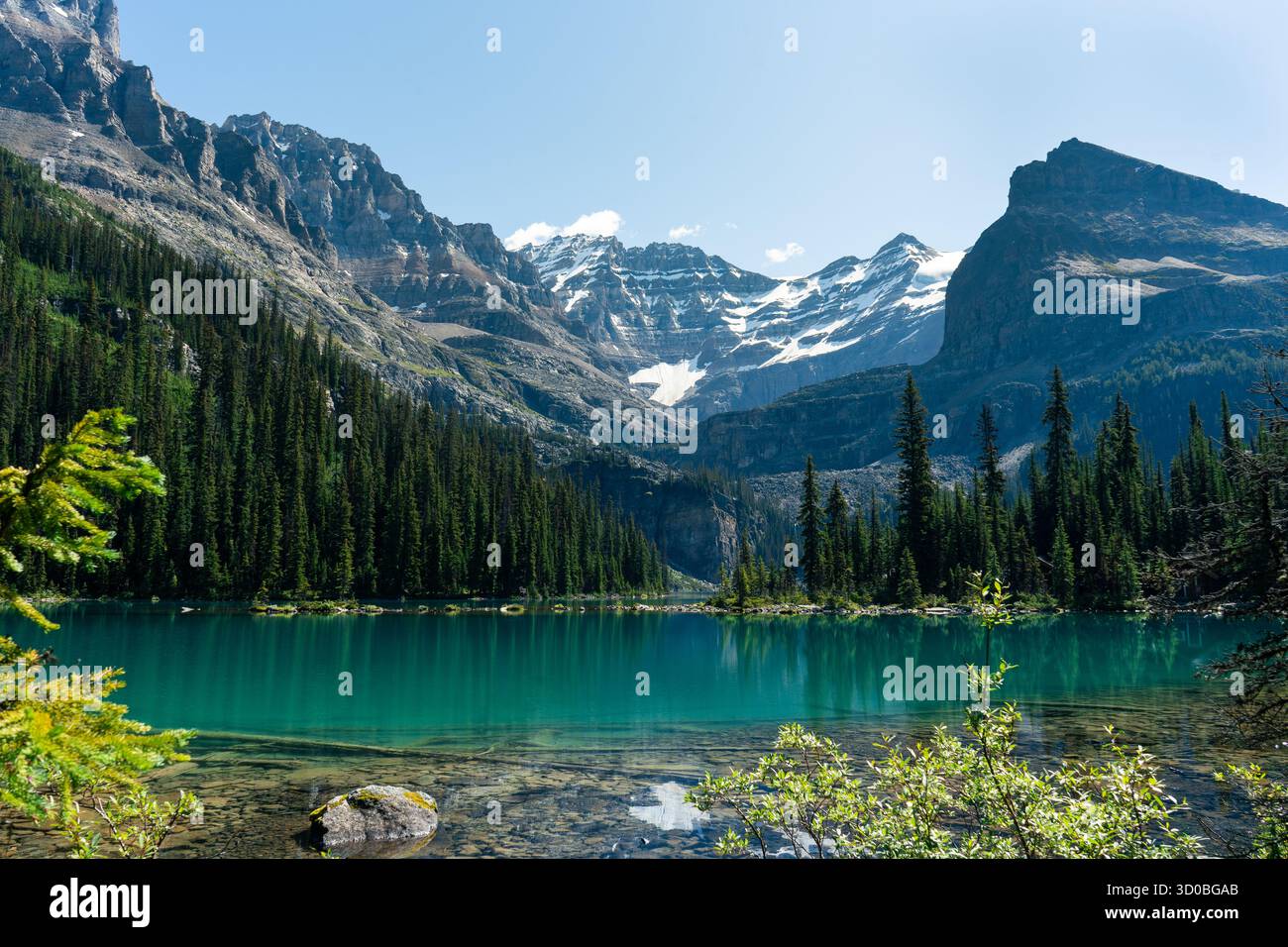 Un lago di montagna incontaminato circondato da foreste sempreverdi e vette rocciose. Lago Ohara, British Columbia Foto Stock