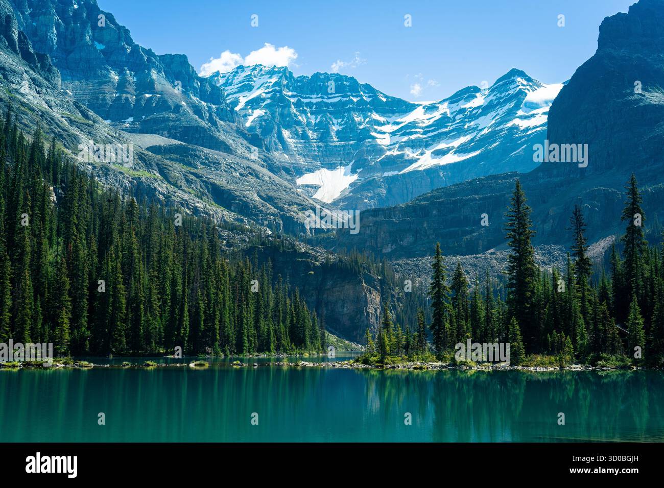 vista maestosa delle montagne riflessa in un tranquillo lago circondato da foreste. Lago Ohara, British Columbia Foto Stock