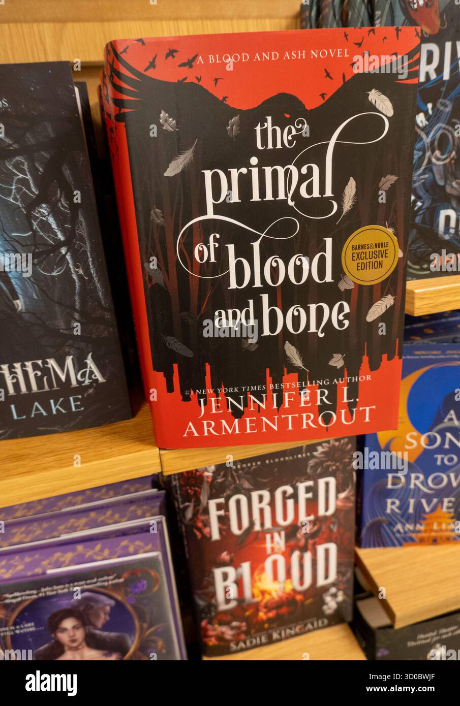 Barnes & Noble Booksellers sulla Fifth Avenue a New York City ha una vasta selezione di libri, riviste, musica e giochi, Stati Uniti 2025 Foto Stock