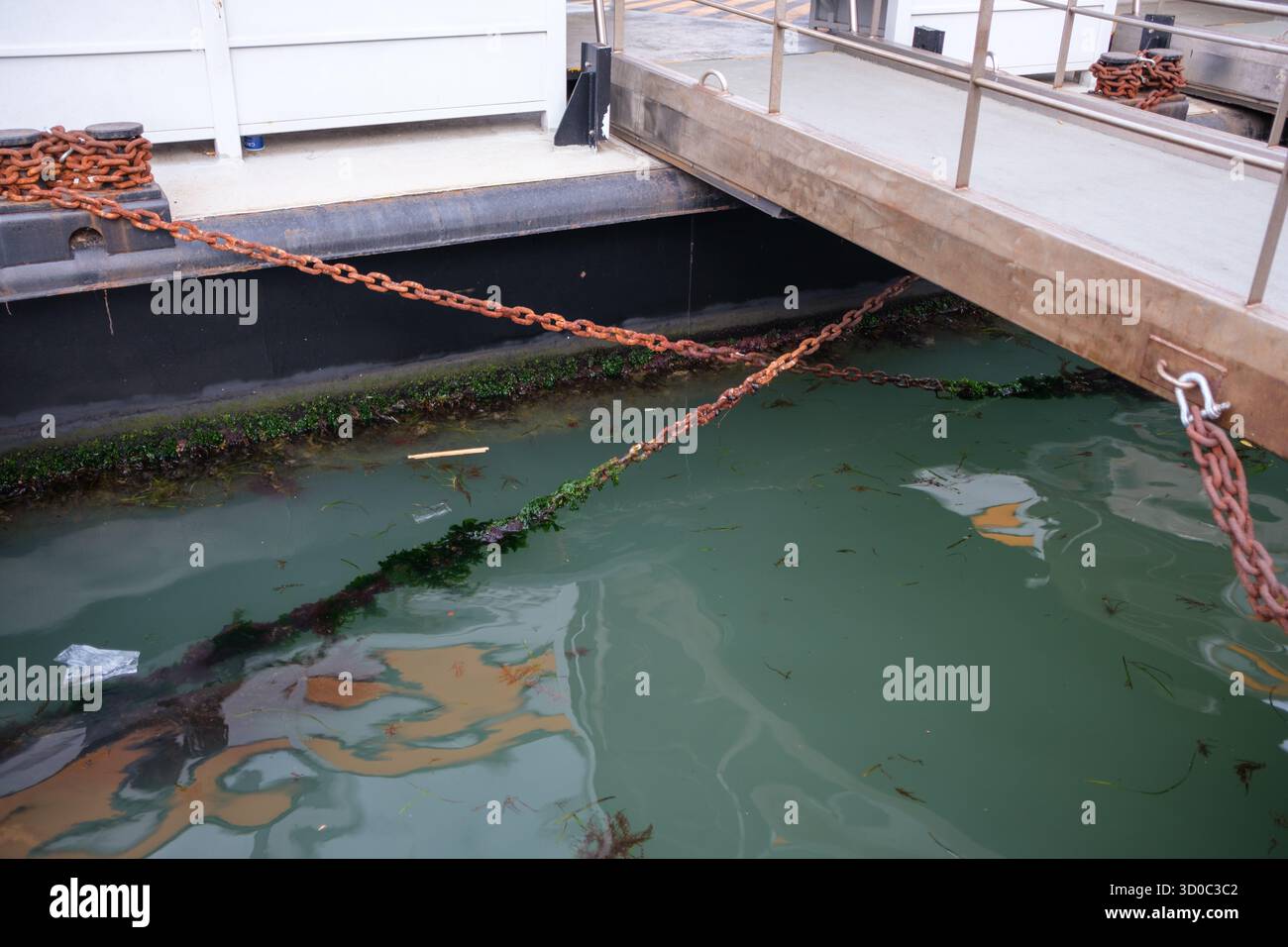 Ruggine e alghe alla fermata del vaporetto nella laguna di Venezia, in Italia Foto Stock