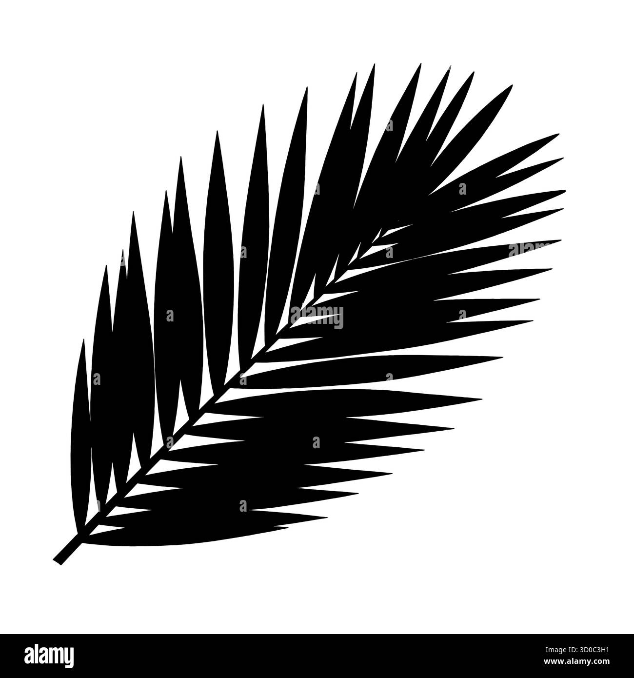 Silhouette di foglie di palma tropicali con rigogliose fronde appuntite. Illustrazione Vettoriale