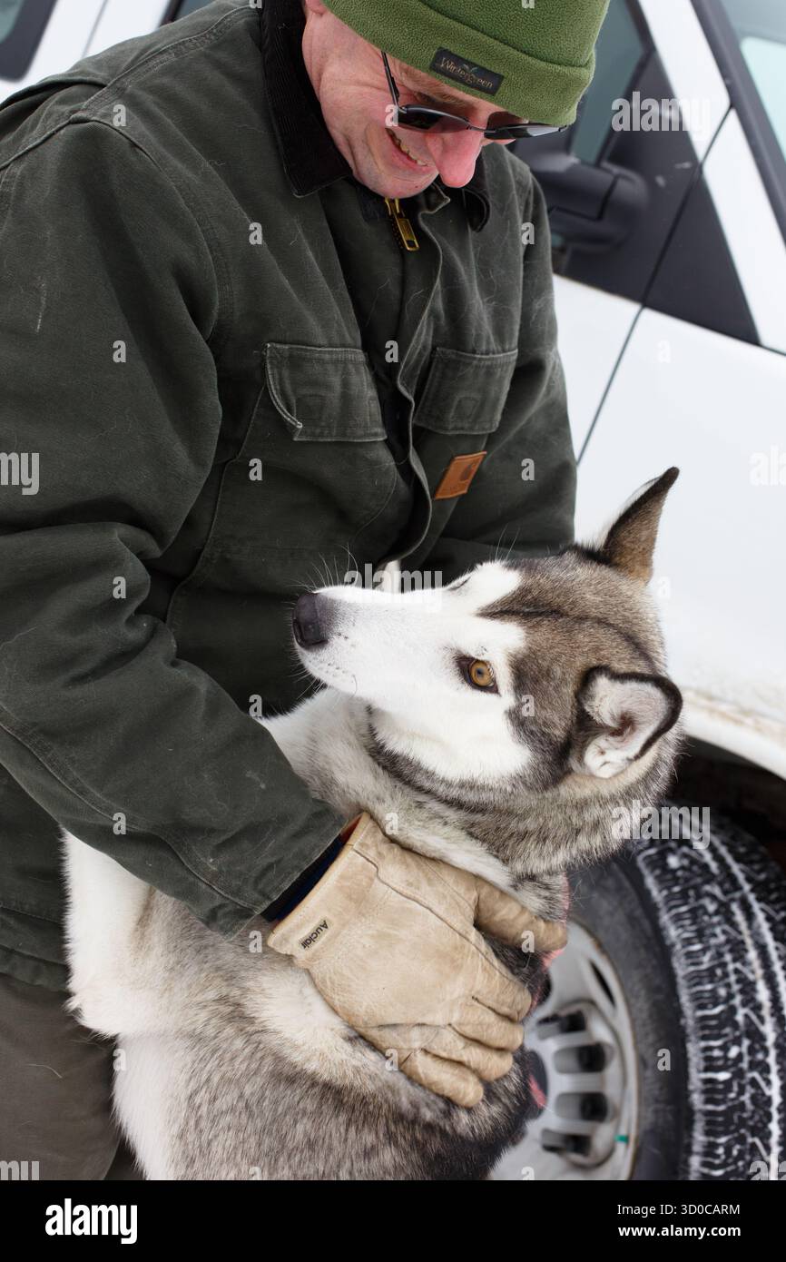 Un gestore accarezza un cane da slitta nell'area di partenza di una gara nel Minnesota settentrionale. Solo per uso editoriale. Foto Stock