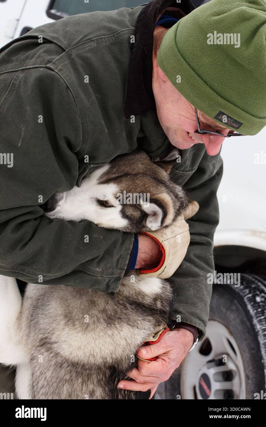 Un gestore abbraccia un cane da slitta nell'area di partenza di una gara nel Minnesota settentrionale. Solo per uso editoriale. Foto Stock