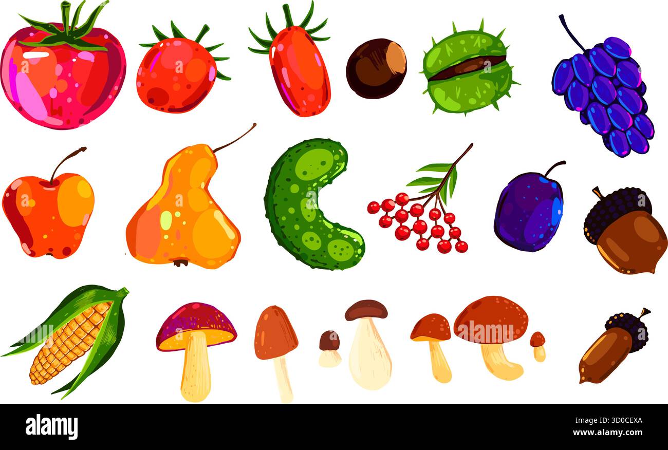 Illustrazione vettoriale della raccolta mista di frutta e verdura. Cibo sano disegnato a mano e funghi isolati su sfondo bianco Illustrazione Vettoriale