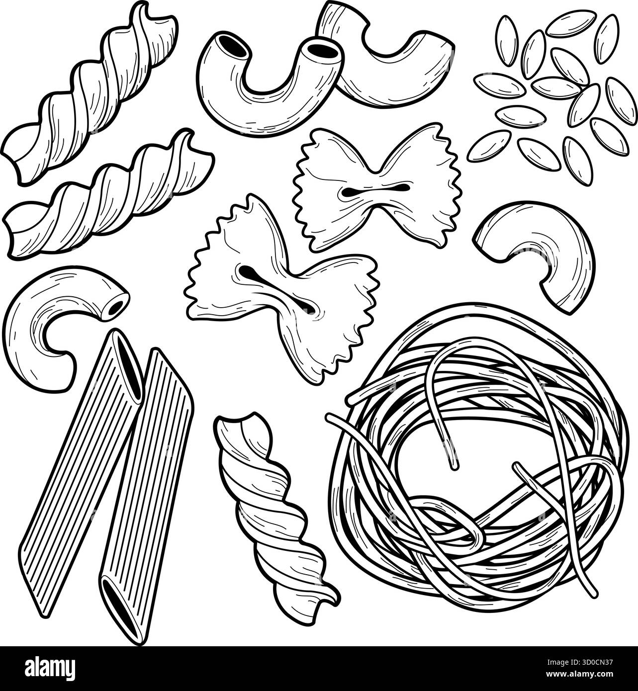 Raccolta di diversi tipi di pasta. Farfalle, penne, spaghetti, maccheroni, orzo e fusilli. Cucina italiana. Vari tipi di tagliatelle. Illustrazione Vettoriale