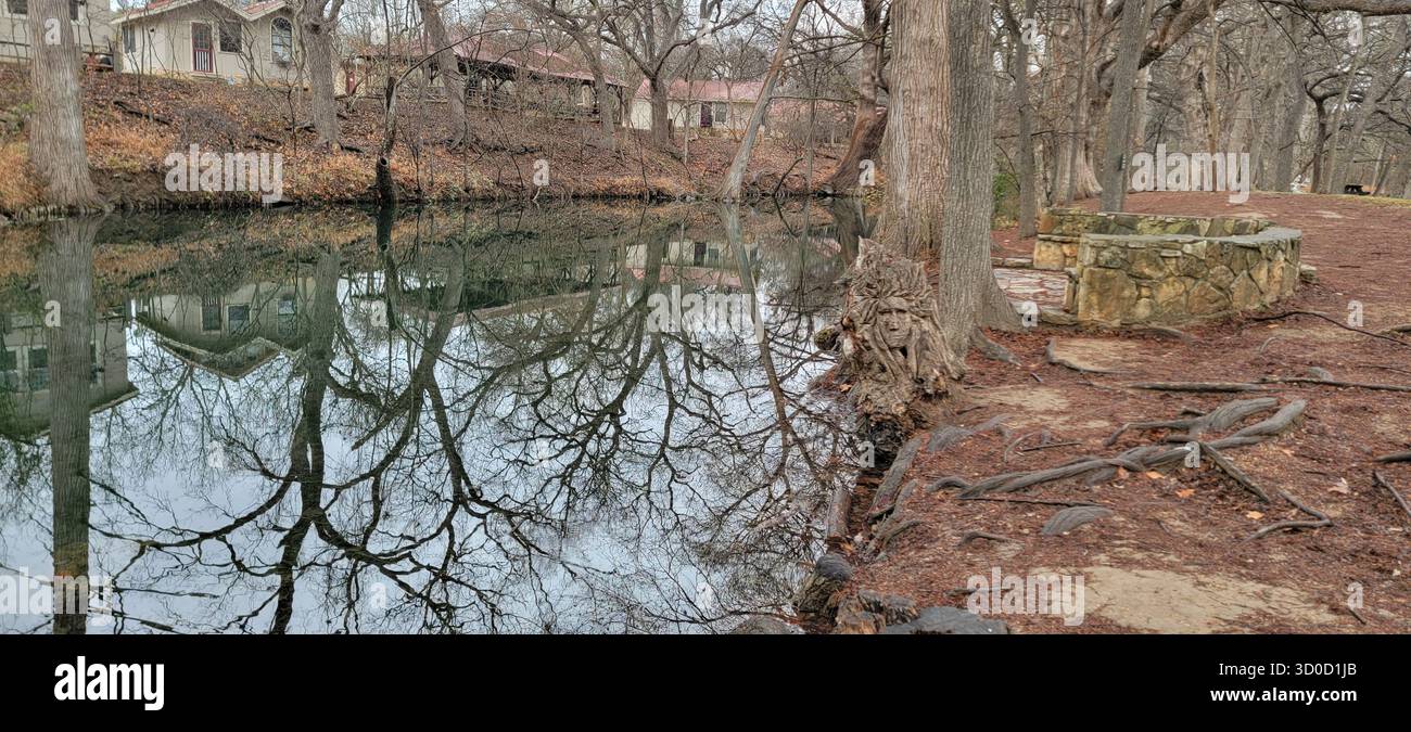 Sculture in legno di Cypress Creek a Wimberley, Texas Foto Stock