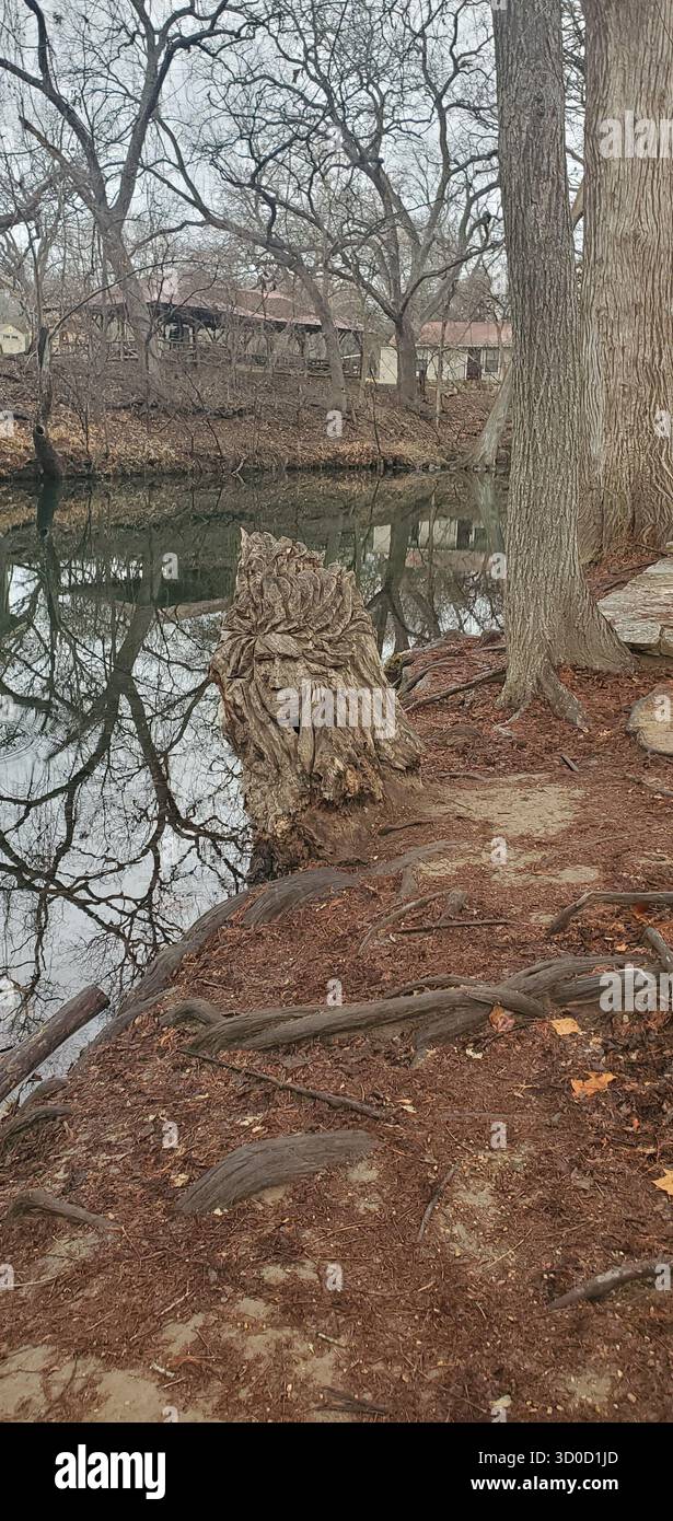 Sculture in legno di Cypress Creek a Wimberley, Texas Foto Stock