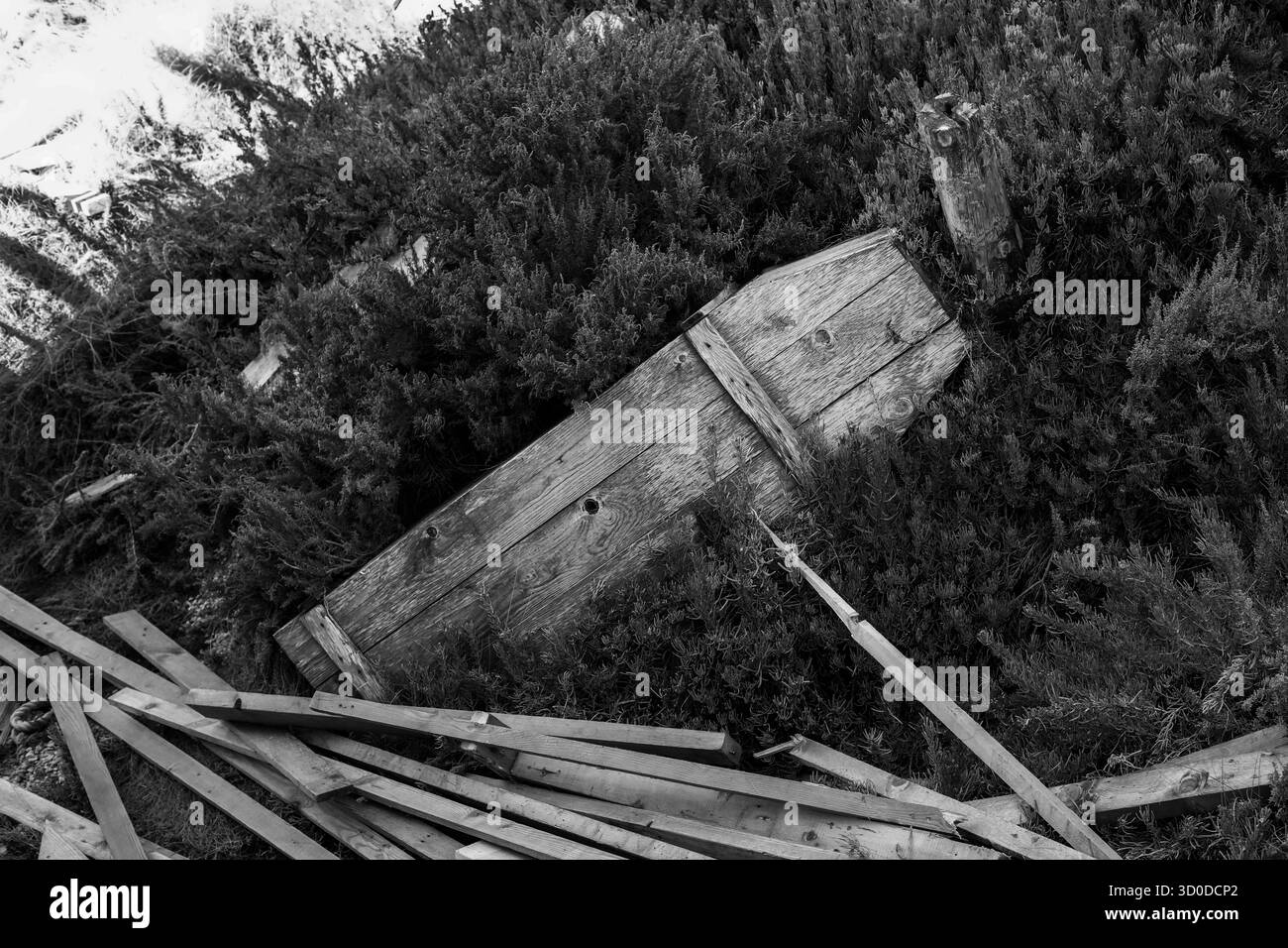 La struttura rustica in legno porta energia gotica, perfetta per la grafica di Halloween, i blog inquietanti o i concetti di arredamento infestato. Foto Stock