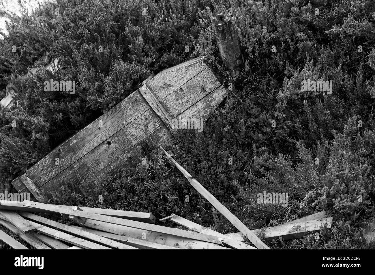 La struttura rustica in legno porta energia gotica, perfetta per la grafica di Halloween, i blog inquietanti o i concetti di arredamento infestato. Foto Stock