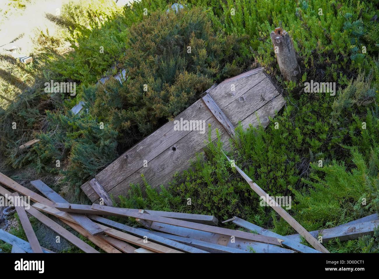 La struttura rustica in legno porta energia gotica, perfetta per la grafica di Halloween, i blog inquietanti o i concetti di arredamento infestato. Foto Stock