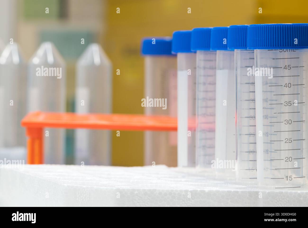 Provette in plastica fiale vuote per flaconi misurazione in millilitro con tappi in vassoio in polistirolo Foto Stock