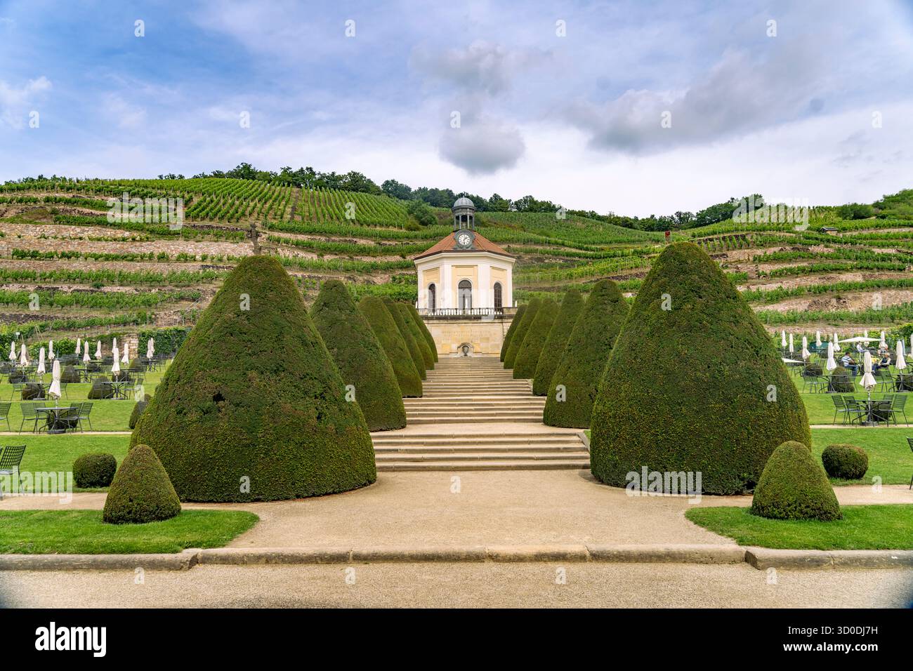 Belvedere e vigneto dell'azienda vinicola statale sassone Schloss Wackerbarth o Wackerbarths Ruh&#39; a Niederlößnitz, Radebeul, Sassonia, Germania Foto Stock
