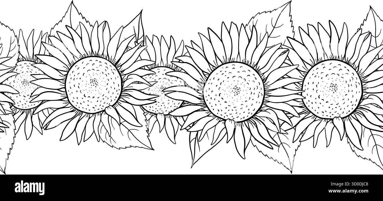 Linea d'inchiostro senza cuciture disegnata a mano con fiori di girasoli, petali rustici e tema del giardino botanico. Illustrazione floreale dettagliata per l'imballaggio Illustrazione Vettoriale