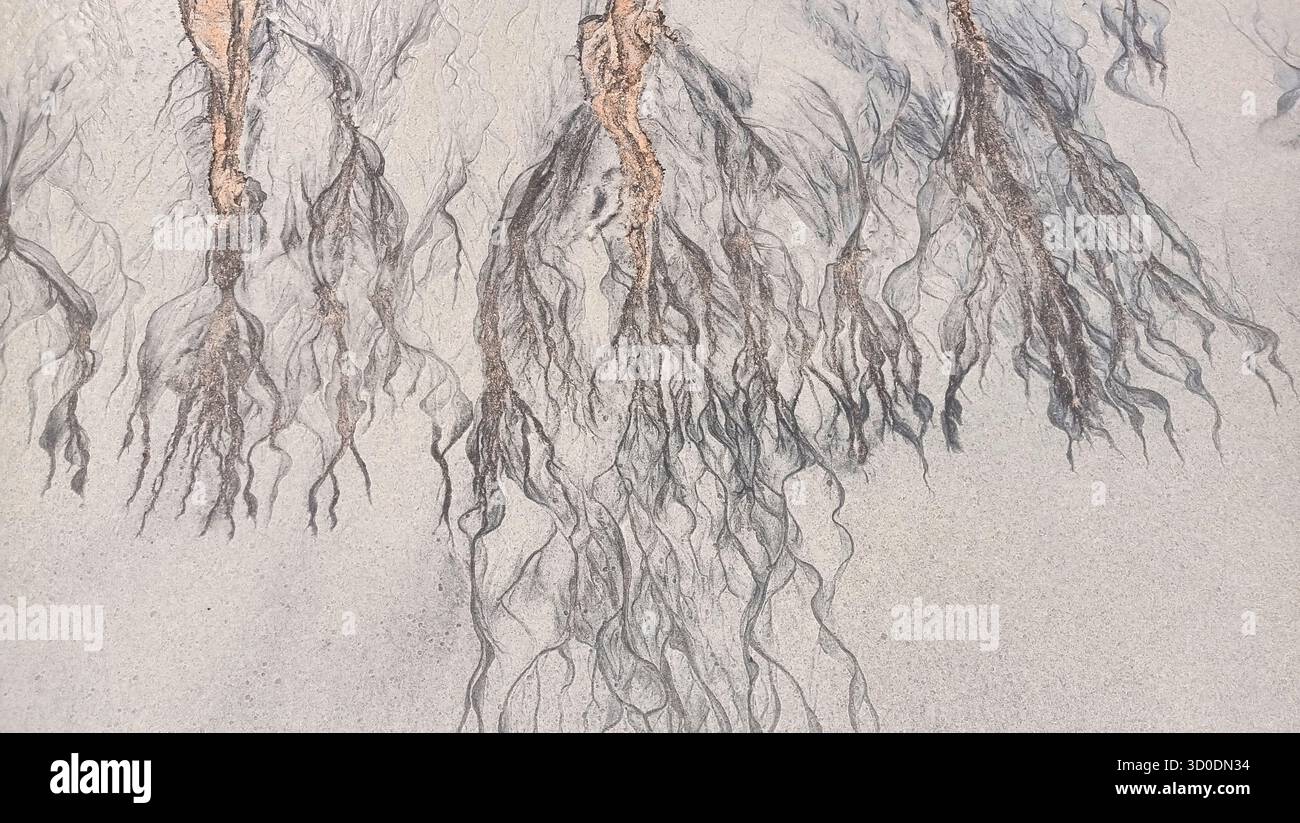 Crepe e linee astratte sulla vista superiore della sabbia, consistenza sabbiosa incrinata, sfondo artistico creativo, motivo grunge, superficie invecchiata, terreno arido secco, ramo d'albero Foto Stock