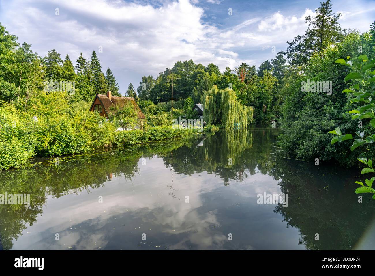 Canale o Spreewaldfließ nella Spreewald vicino a Lübbenau / Spreewald, Brandeburgo, Germania Foto Stock