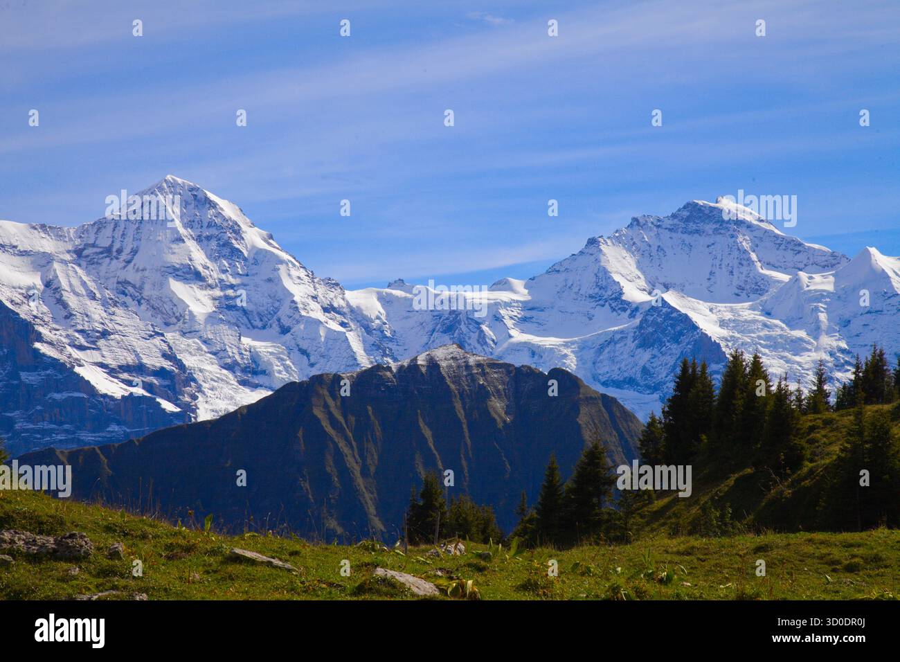 Svizzera, Berna, Interlaken, Schynige Platte, Monch, Jungfrau, picchi, Foto Stock