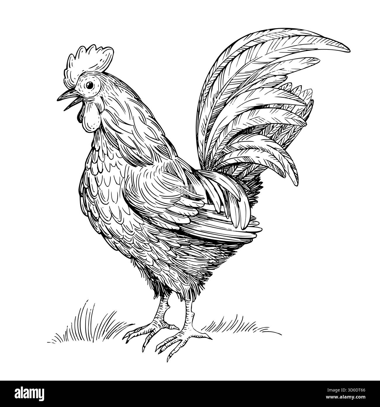 Rooster. Illustrazione realizzata a mano in stile inchiostro vettoriale. Per il design dell'imballaggio, le schede, la copertina, le stampe, le etichette dei prodotti e il tessuto. Illustrazione Vettoriale