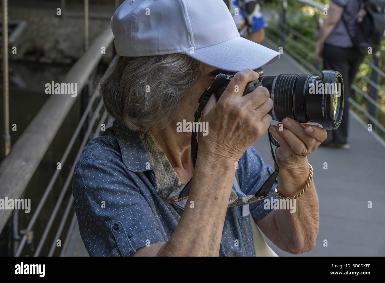 Elke Bertram fa foto, Amberg Foto Stock
