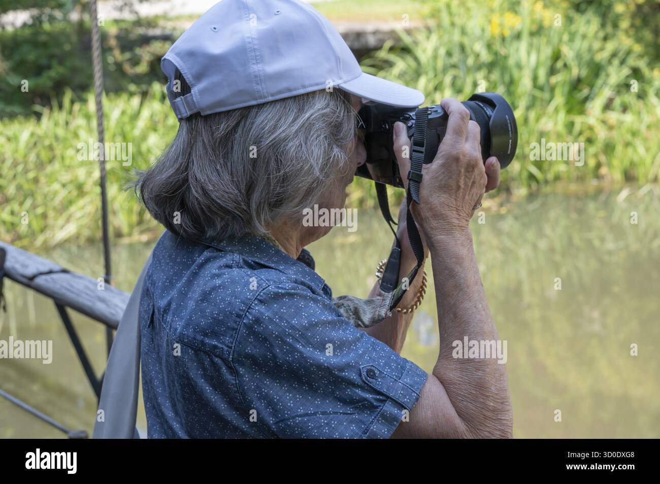 Elke Bertram fa foto, Amberg Foto Stock