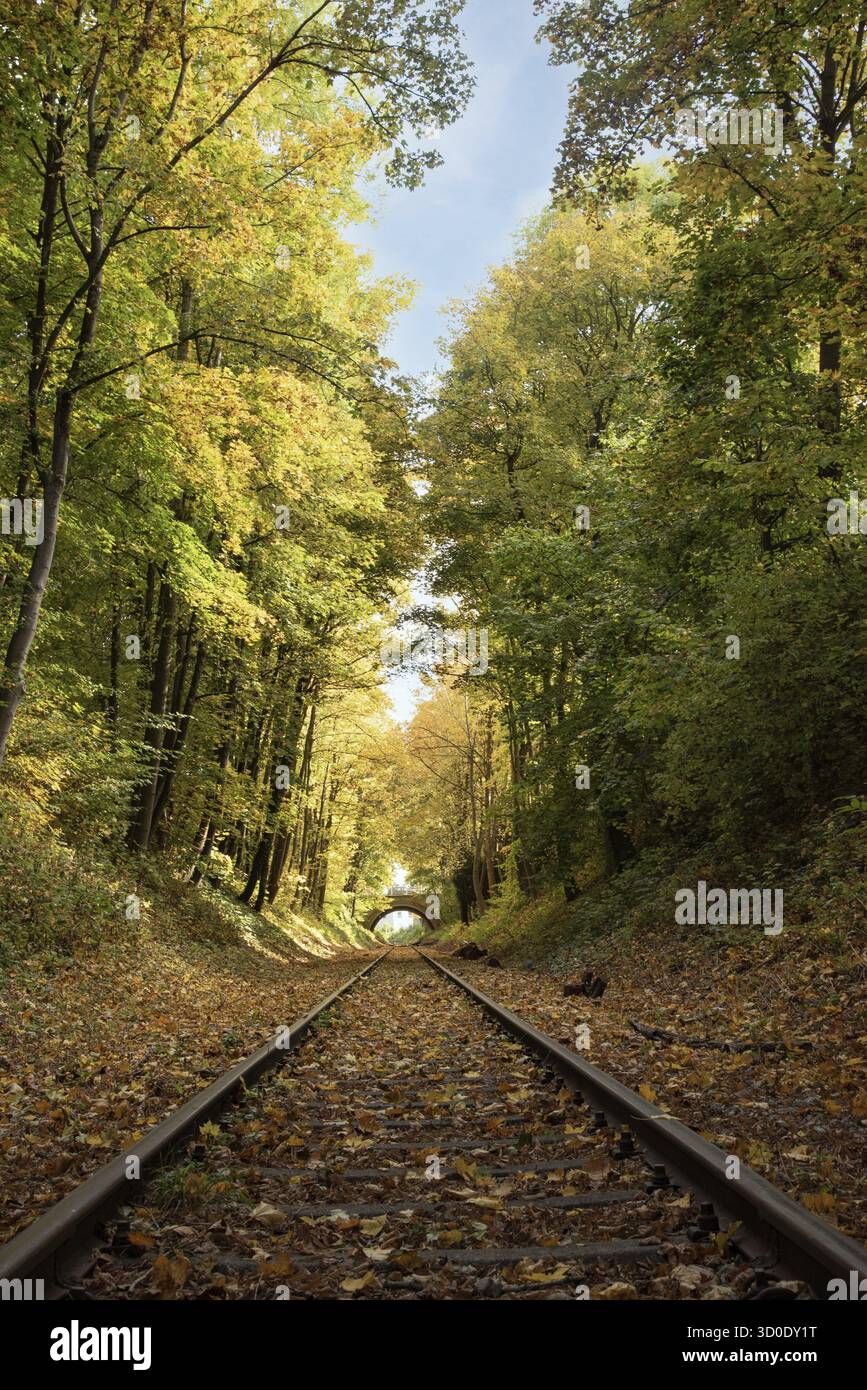 Binari ferroviari locali ad Augusta, Baviera, Regierungsbezirk Svevia, Germania Foto Stock