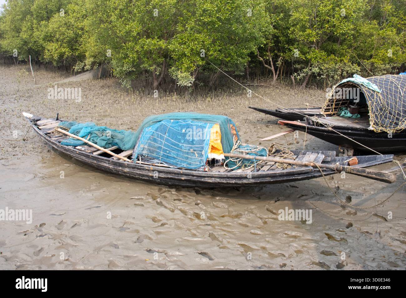 SUNDARBANS, KOLKATA, BENGALA OCCIDENTALE, INDIA - 16 FEBBRAIO 2024 tipiche barche da pesca locali nel fango con la bassa marea Foto Stock