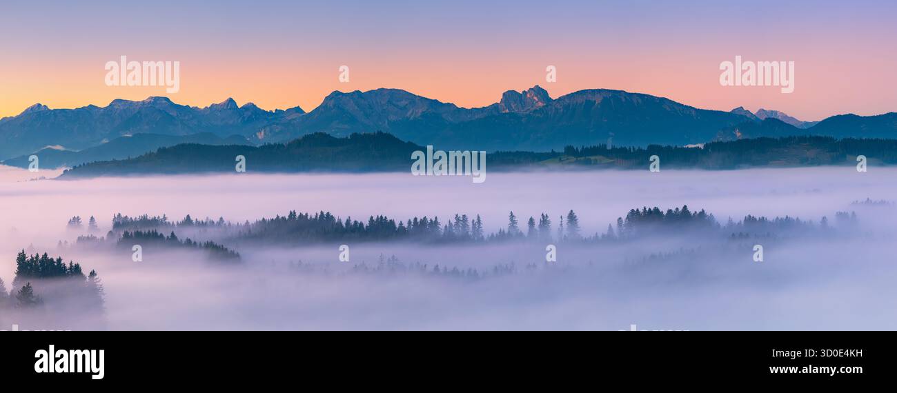 Vista panoramica ultra-ampia di XPan sull'alba serena sulla regione di Allgäu in Baviera, Germania. La nebbia mattutina si allontana dolcemente attraverso la valle mentre il Foto Stock
