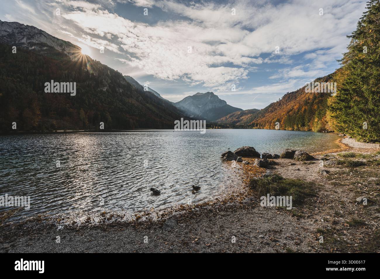Der Vordere Langbathsee im Höllengebirge im oberösterreichischen Teil des Salzkammergutes im Herbst AM 21.10.2025. // il Vorderer Langbathsee sulle montagne di Höllengebirge nella parte alta austriaca del Salzkammergut in autunno il 21 ottobre 2025 - 20251021 PD18302 credito: APA-PictureDesk/Alamy Live News Foto Stock