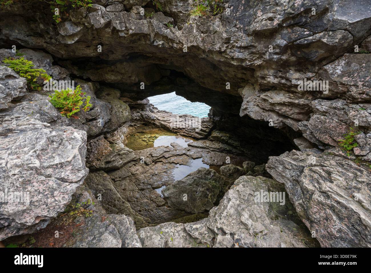 Una piccola apertura rocciosa naturale rivela acqua aperta attraverso una fessura di calcare, con una pozza poco profonda all'interno nel Parco Nazionale della Penisola di Bruce, Ontario. Foto Stock