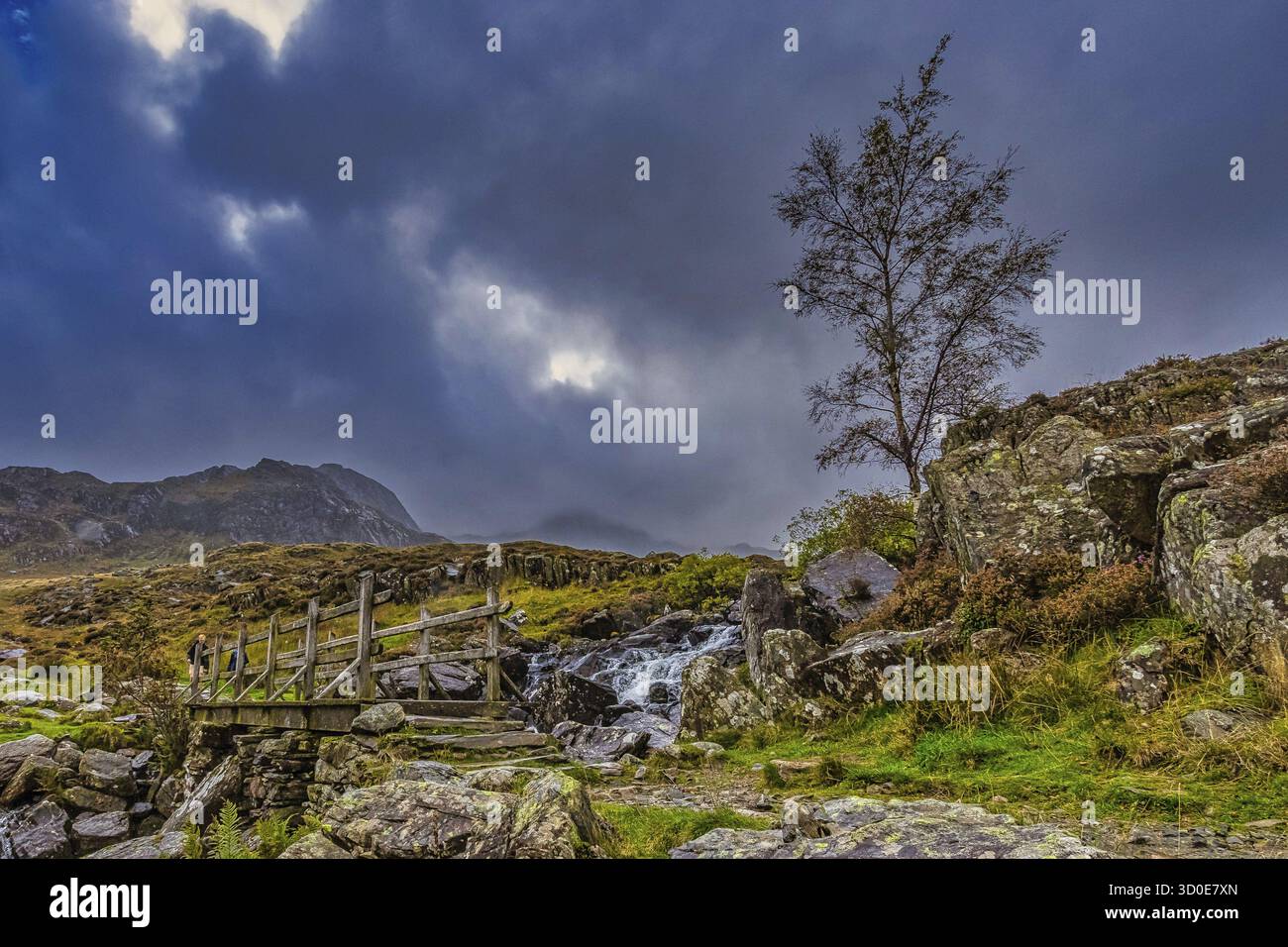 Ponte in legno che conduce al Parco Nazionale Snowdonia della montagna, Galles del Nord, Regno Unito Foto Stock