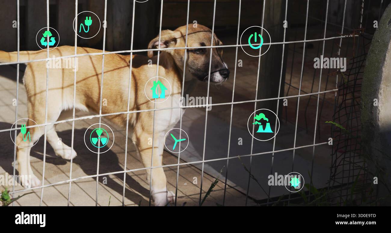 Cane abbronzato che sbircia attraverso la recinzione metallica sul pavimento piastrellato del canile, con icone ecologiche Foto Stock