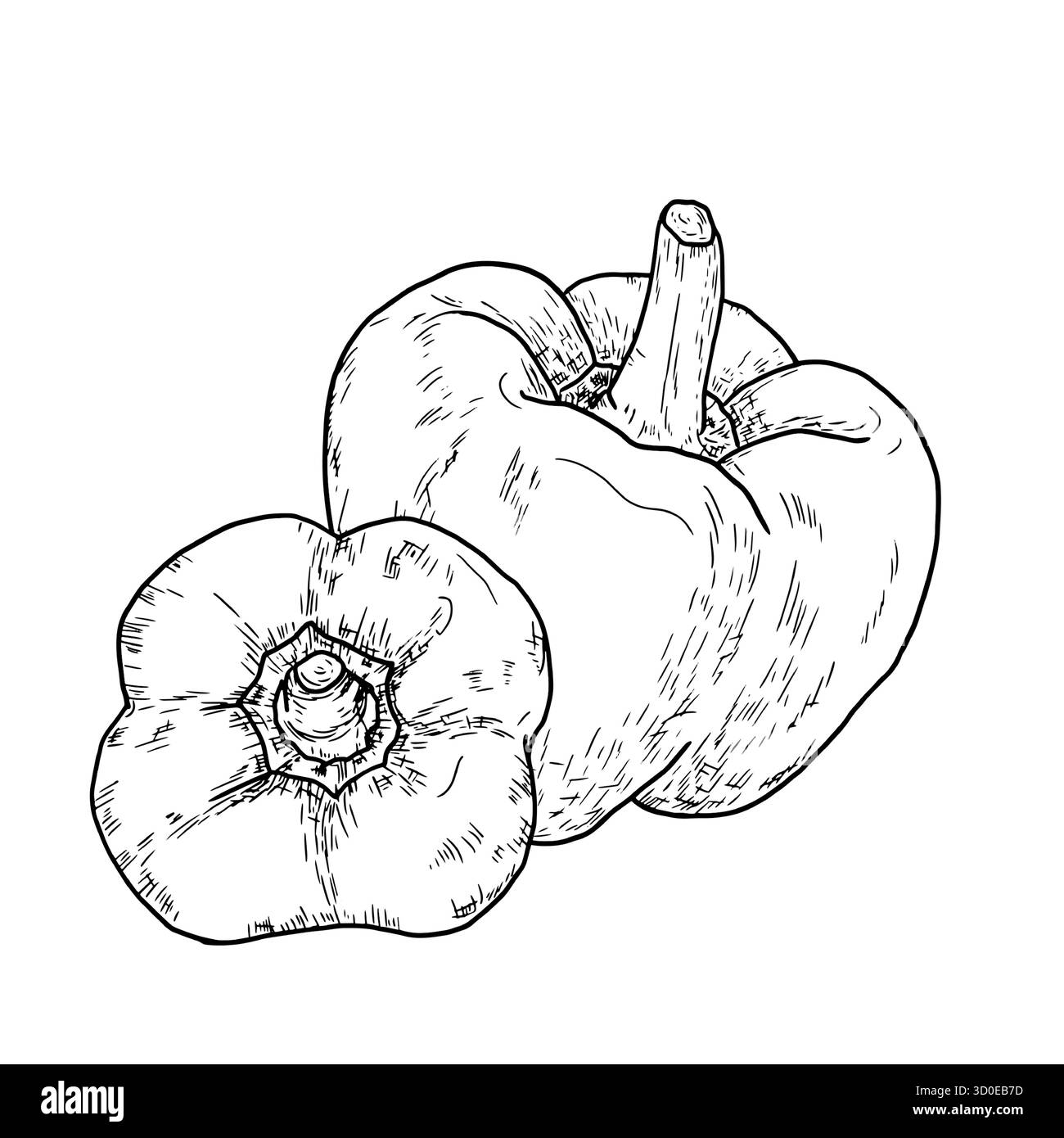 Peperone, disegno semplice, schizzo in bianco e nero. Illustrazione vettoriale. Verdure fresche di fattoria, isolate su sfondo bianco. Il tema della salute Illustrazione Vettoriale