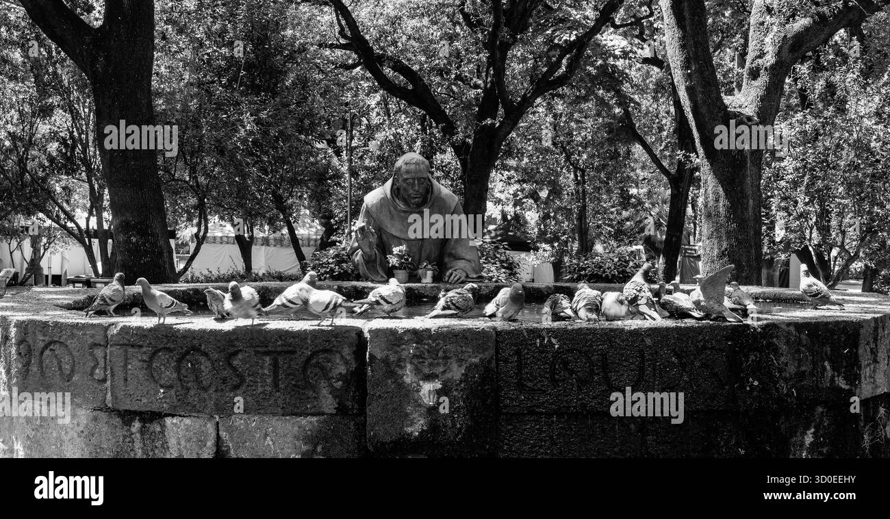 Statua di San Francesco adagiata in una fontana circondata da piccioni. Giardini pubblici, Sassari Sardegna Italia. Giugno 2025 Foto Stock