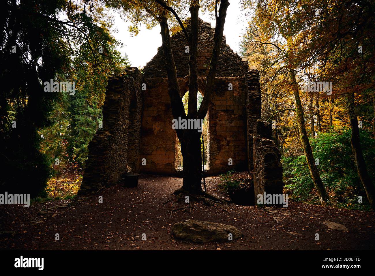 Wandergebiet am Lac des Gaillands a Chamionix-Mont-Blanc im Herbst. Der in der Talsohle gelegene Lac des Gaillands, nur wenige chilometro von Chamonix Foto Stock