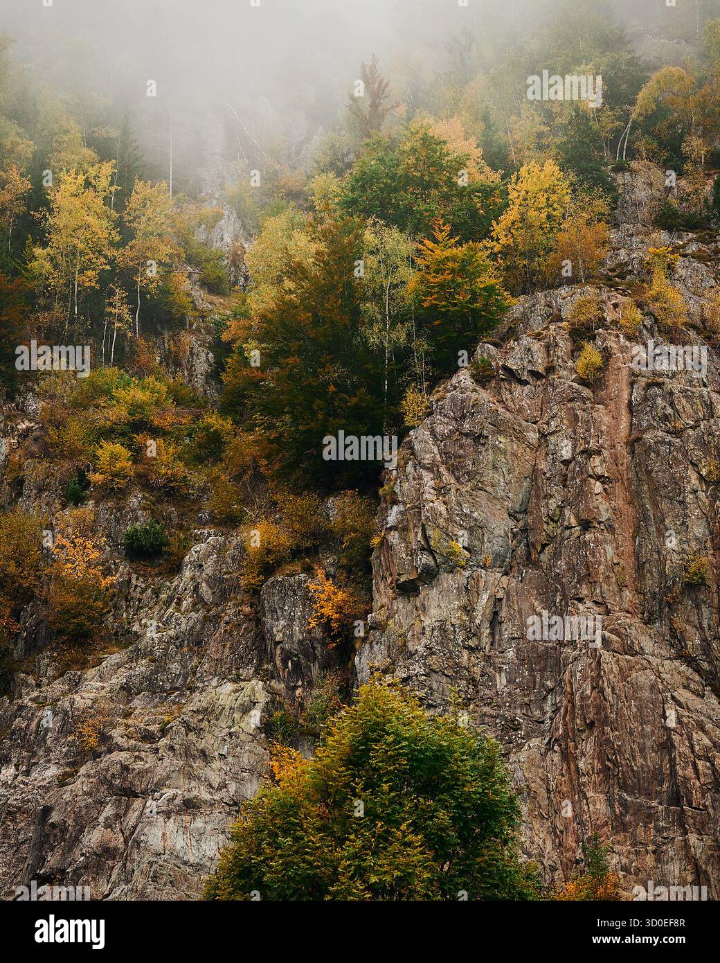 Wandergebiet am Lac des Gaillands a Chamionix-Mont-Blanc im Herbst. Der in der Talsohle gelegene Lac des Gaillands, nur wenige chilometro von Chamonix Foto Stock