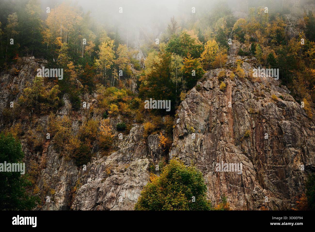 Wandergebiet am Lac des Gaillands a Chamionix-Mont-Blanc im Herbst. Der in der Talsohle gelegene Lac des Gaillands, nur wenige chilometro von Chamonix Foto Stock