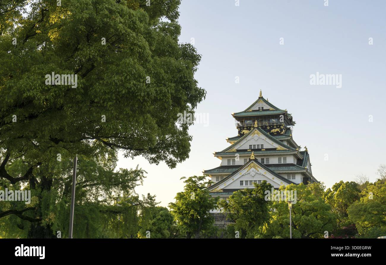 Il castello di Osaka, uno dei monumenti più famosi del giappone, visto nel tardo pomeriggio durante l'orario del tramonto. Preso a Osaka, Giappone Foto Stock