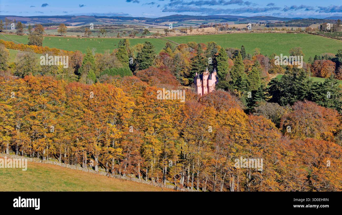 Castello di Craigievar Alford Aberdeenshire Scozia il castello rosa una fila di alberi con i colori assolati dell'autunno Foto Stock