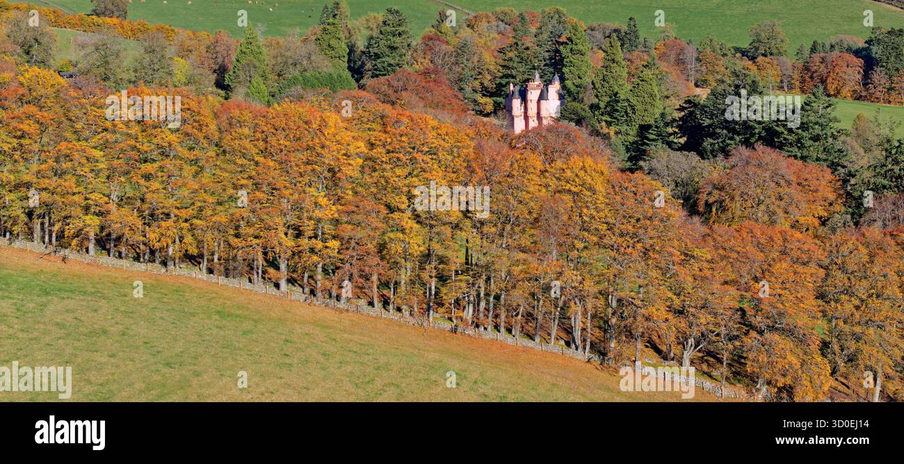 Castello di Craigievar Alford Aberdeenshire Scozia il castello rosa e una fila di alberi con i colori assolati dell'autunno Foto Stock