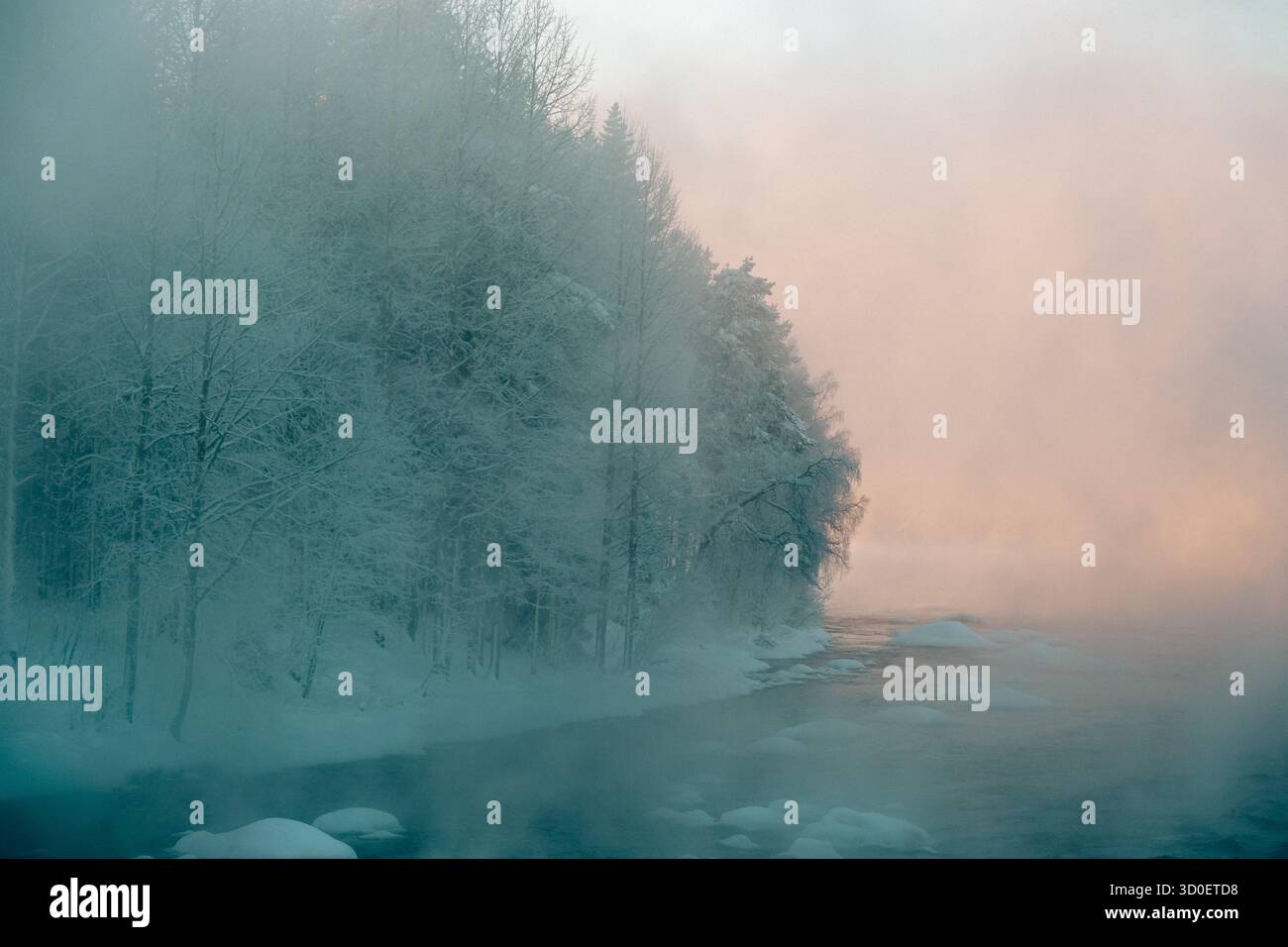 Nebbioso fiume invernale all'alba con alberi innevati e luce pastello soffusa Foto Stock