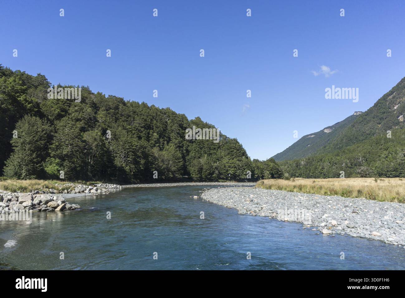 Mackay creek si trova sulla strada per milford, con vista estiva e il torrente che scorre attraverso le montagne Foto Stock
