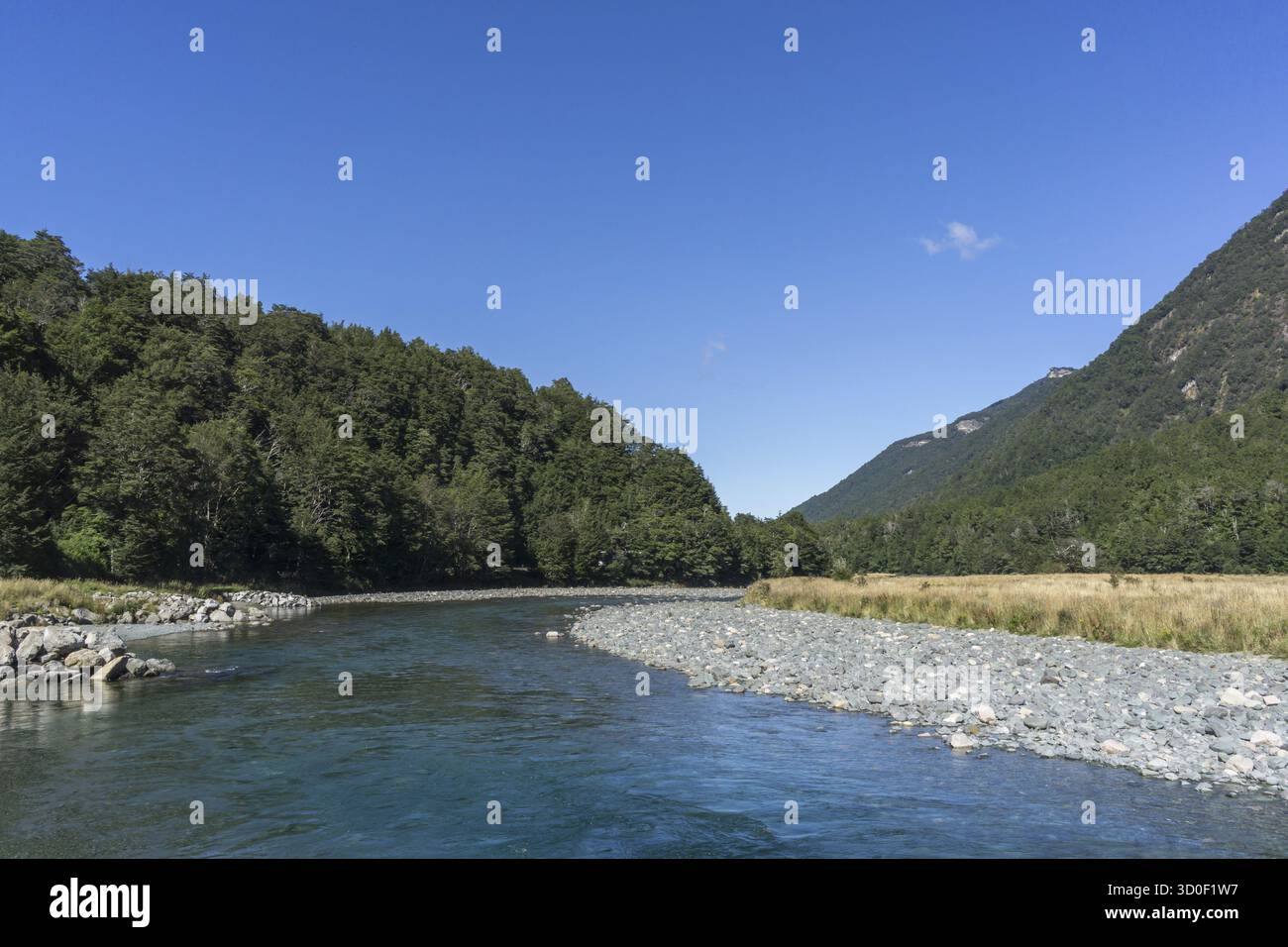 Mackay creek si trova sulla strada per milford, con vista estiva e il torrente che scorre attraverso le montagne Foto Stock