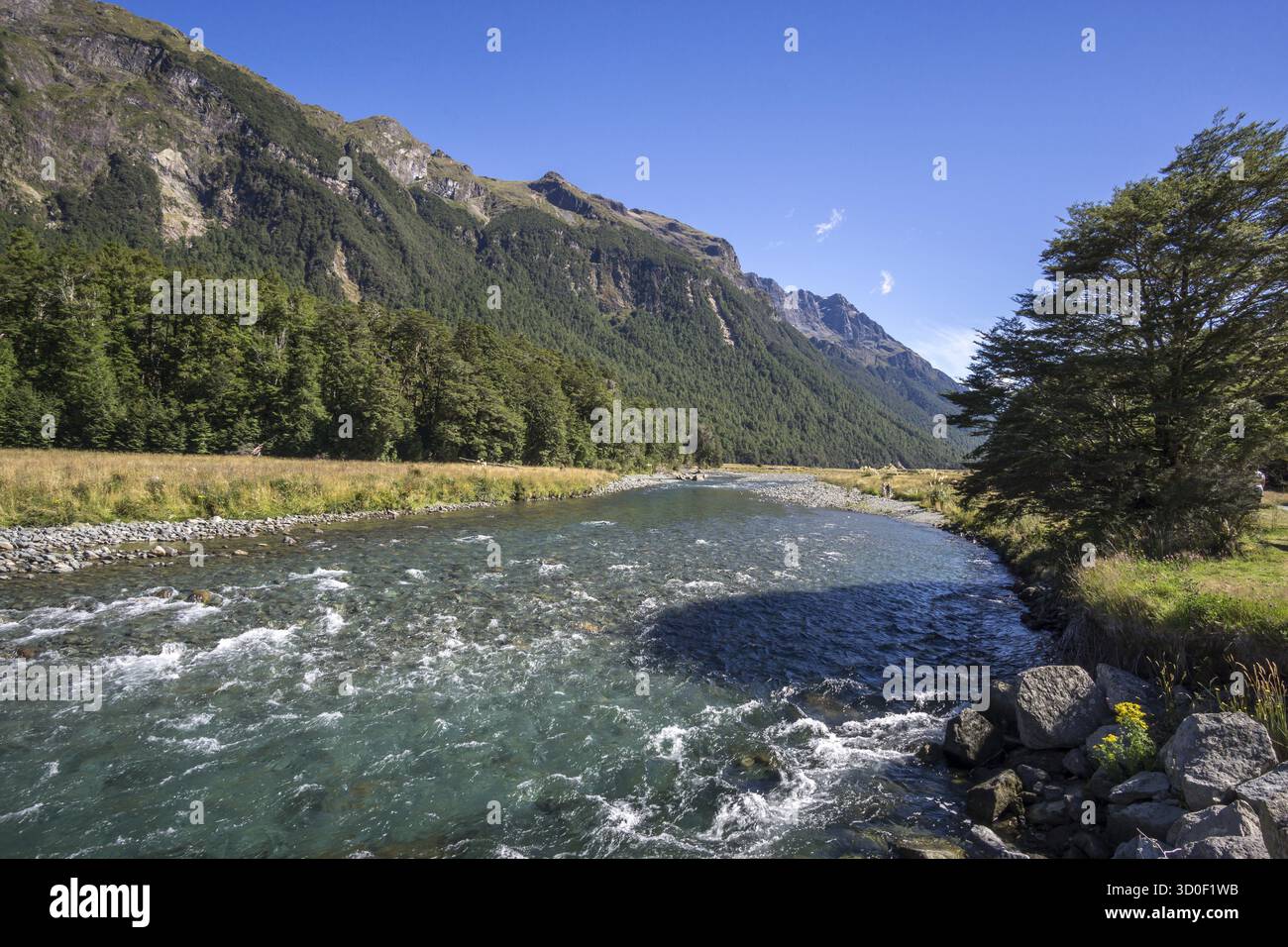 Mackay creek si trova sulla strada per milford, con vista estiva e il torrente che scorre attraverso le montagne Foto Stock