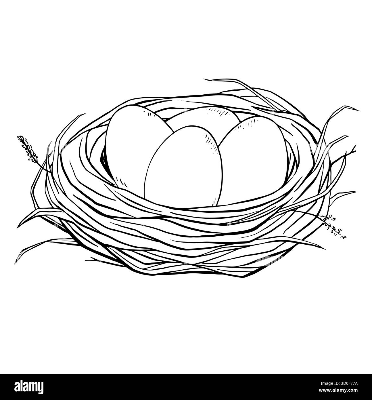 Nido di uccelli disegnato a mano con tre uova in stile rustico naturale. Schizzo vintage adatto a temi primaverili, etichette agricole, illustrazioni di animali selvatici o bambini Illustrazione Vettoriale