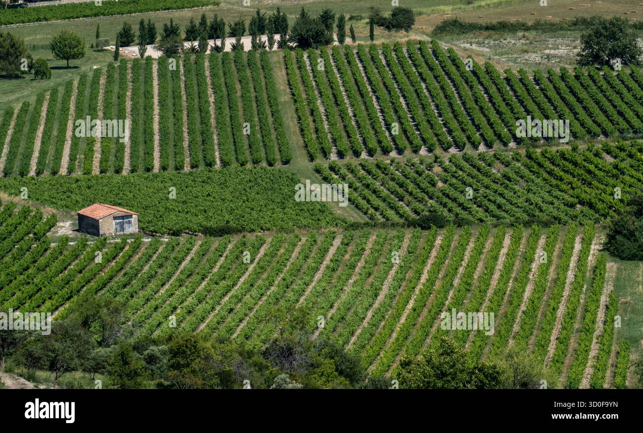 La vista aerea di filari simmetrici di lussureggianti vigneti crea un vivace arazzo attraverso il paesaggio, punteggiato da una piccola struttura, Provence-Alpes-Côte d'Azur, Francia. Foto Stock